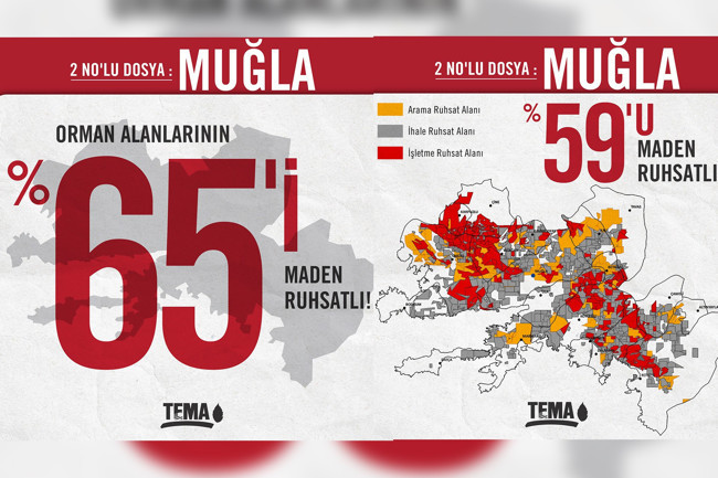Almanak 2020: Çevre alanında en fazla rantın, talanın, iklim krizinin, Covid-19'un etkisi hissedildi - Resim : 10