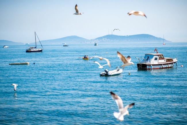 Olası İstanbul depreminde, tsunami riskine karşı önlemler artıyor - Resim : 1