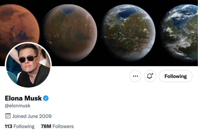 Dövüş sanatları eğitimi al: Kadirov ile Musk sosyal medyada karşı karşıya geldi - Resim : 1