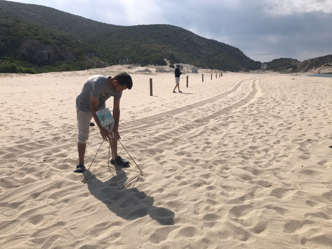 Caretta carettaların yumurtladığı kumsallara gece girişi yasaklandı - Resim : 2
