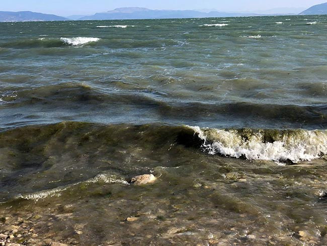 Lağım borusu patladı, Eğirdir Gölü'nü atıklar kapladı - Resim : 2