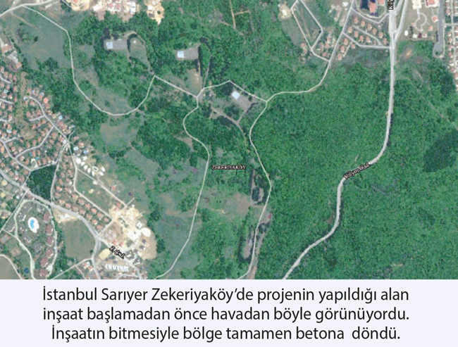 Siyahkalem Mühendislik yargıyı dinlemedi, ormanı beton denizine çevirdi - Resim : 2