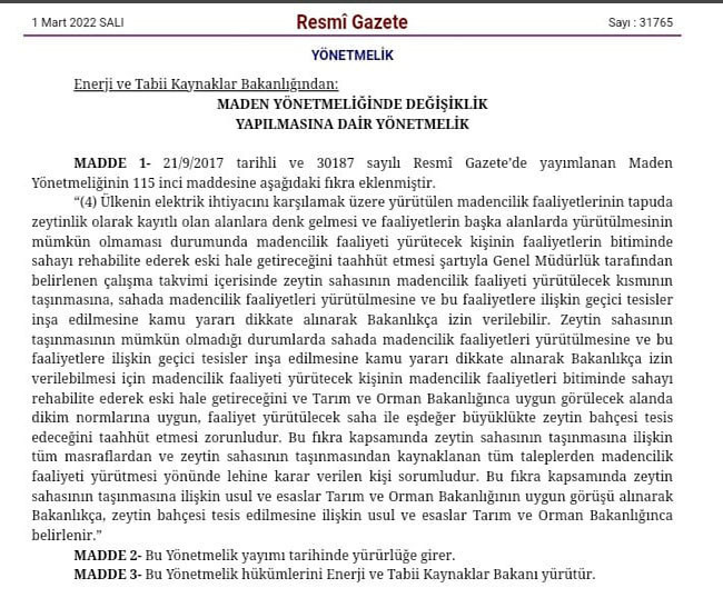 Zeytinlikler bozulacak maden sahası açılacak - Resim : 1