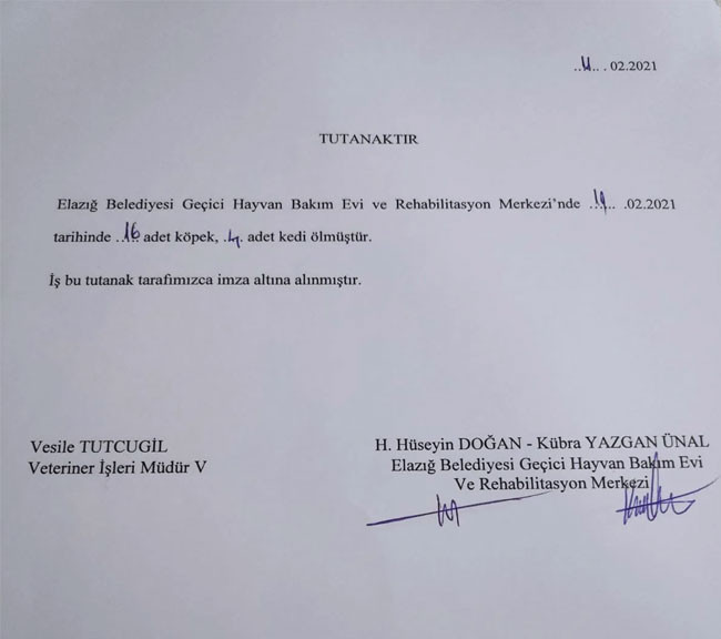 AKP’li belediyenin hayvan bakımevinde 4 ayda toplam bin 62 kedi ve köpek öldü - Resim : 1