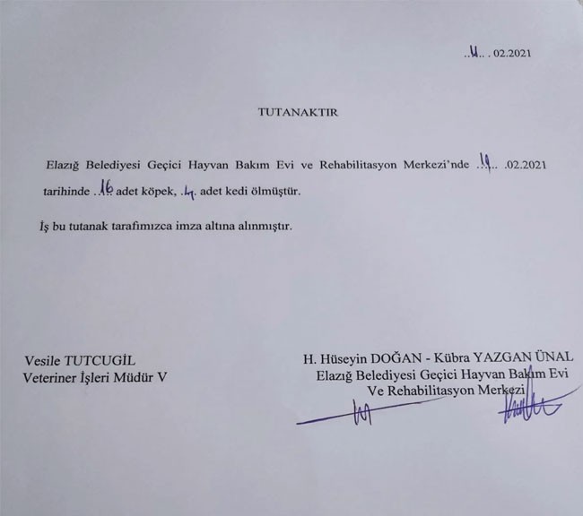 AKP’li belediyenin hayvan bakımevinde 4 ayda toplam bin 62 kedi ve köpek öldü - Resim : 1