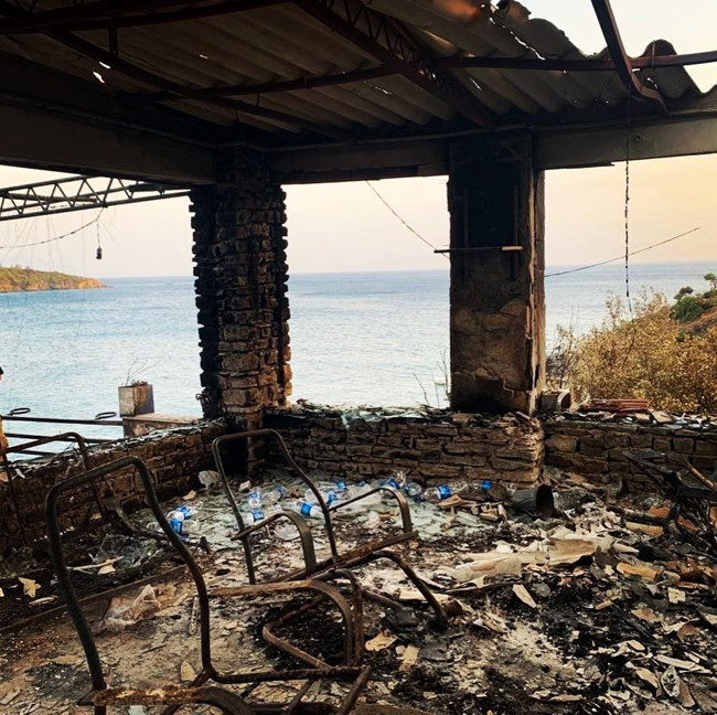 Zülfü Livaneli Bodrum'daki yangın bölgesinde: Felaketin boyutu gün ağarınca ortaya çıktı - Resim : 3