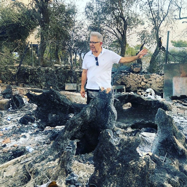 Zülfü Livaneli Bodrum'daki yangın bölgesinde: Felaketin boyutu gün ağarınca ortaya çıktı - Resim : 1