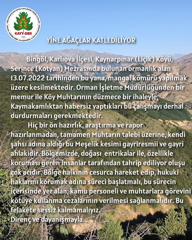 Bingöl’de orman kıyımı devam ediyor: Bölge halkı tepkili - Resim : 1