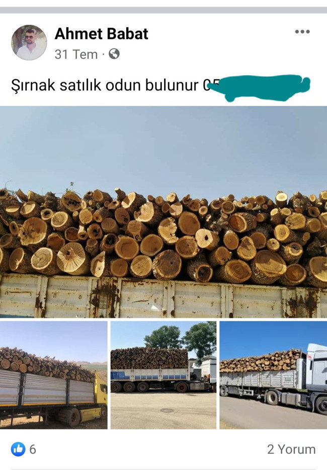 Şenobalılar anlattı: Firdevs’in vücudunda 3 kurşun yarası vardı - Resim : 1