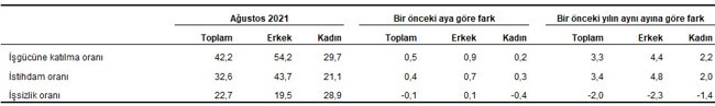 TÜİK'e göre işsizlik oranı değişmedi, ağustosta da yüzde 12,1 oldu - Resim : 3