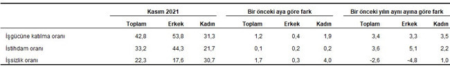 TÜİK verilerine göre işsizlik kasım ayında değişmedi - Resim : 3
