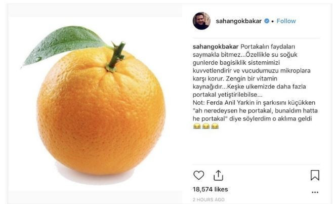 Şahan Gökbakar: Keşke ülkemizde daha fazla portakal yetiştirilebilse - Resim : 1