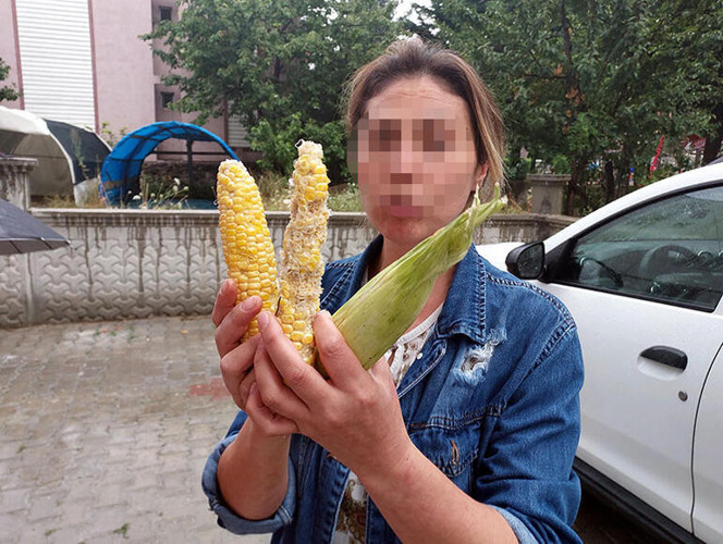 Villanın bahçesinden 3 tane mısır alan 3 kız çocuğu darp edildi - Resim : 2