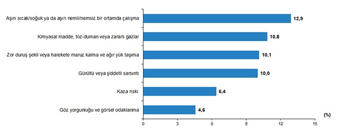 TÜİK 7 yıl aradan sonra çocuk işçiliği anketi yaptı - Resim : 3