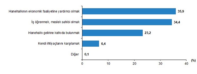 TÜİK 7 yıl aradan sonra çocuk işçiliği anketi yaptı - Resim : 2