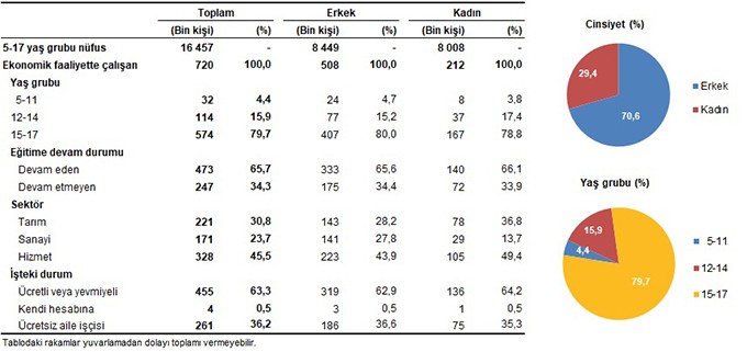 TÜİK 7 yıl aradan sonra çocuk işçiliği anketi yaptı - Resim : 1