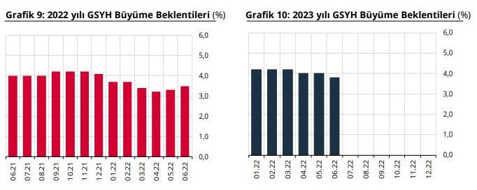 Merkez Bankası, dolar ve enflasyon beklentisini yükseltti - Resim : 3