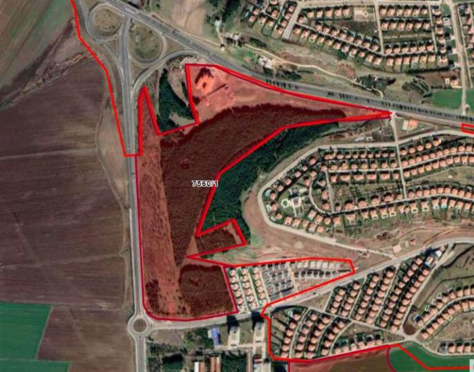 dicle-orman.jpeg