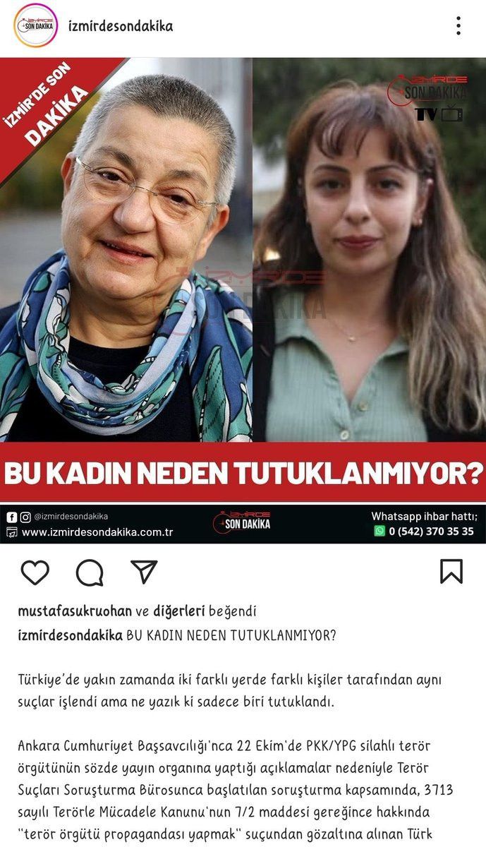 fgpzpuaxwaqtmdm.jpeg