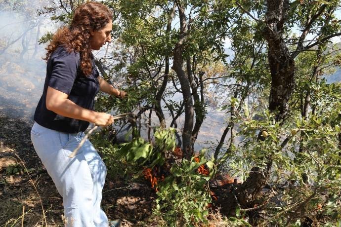 HDP heyeti yangın bölgesinde inceleme yaptı - Resim : 2