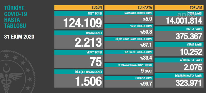 Salgın tablosu: Ağır hasta sayısı bir günde yüzde 5 arttı - Resim : 1