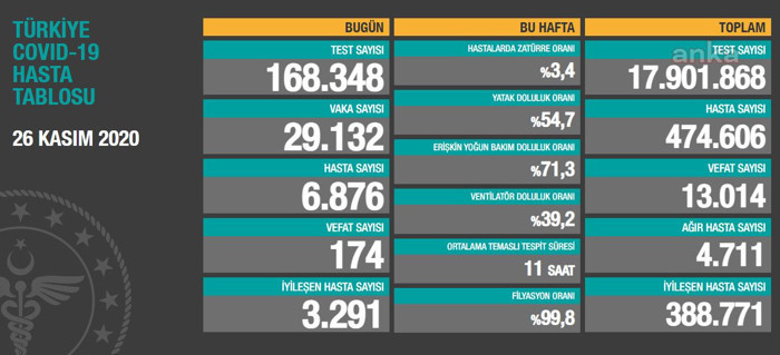Coronavirus tablosu: 29 bin 132 pozitif vaka, 174 vefat - Resim : 1