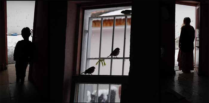 Aileleri cezaevinde olan ‘Tutsak Bebekler’ anne ve babaları için ağlıyor - Resim : 5
