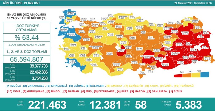 Türkiye'de Coronavirus: Son 24 saatte 58 can kaybı, 12 bin 381 yeni vaka - Resim : 1