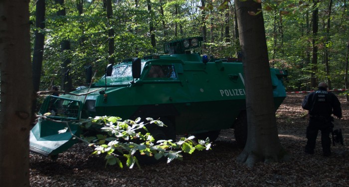 Direnişin ekolojik hali: ZAD, Hambach Forest, Kuzey Ormanları - Resim : 1