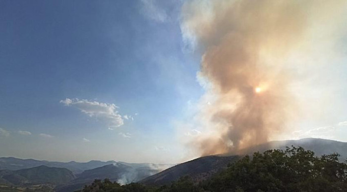 Dersim 11 gündür yanıyor: Geçen her dakika bir canlının yaşamına son veriyor - Resim : 1