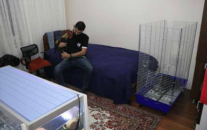 Uzun ötmesiyle fenomen olan horoz 'Bahtiyar'ın 10 yavrusu oldu - Resim : 1