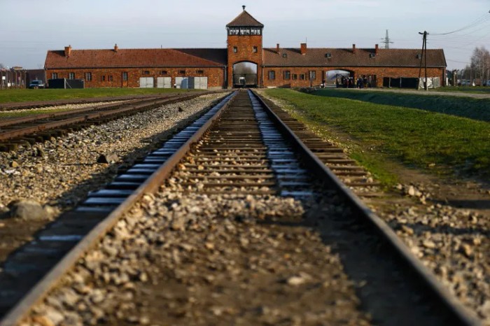 auschwitz.webp