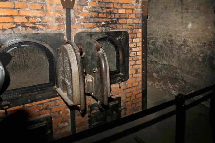 auschwitz3.webp