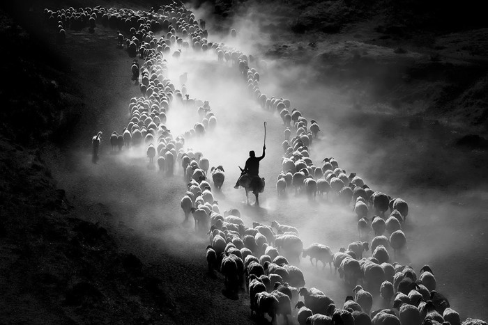 Türkiye’den National Geographic ödülü alan tek kadın fotoğrafçı: Her şey ufak ufak başladı - Resim : 2