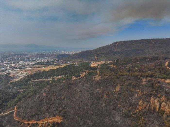 İzmir'de 4 bin 400 hektar küle döndü: 'Bölge sel felaketine karşı savunmasız kaldı' - Resim: 1