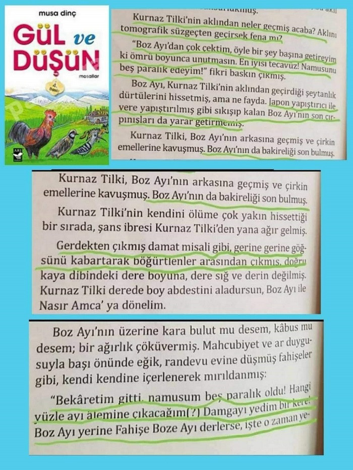 Çocuk kitabında tecavüzü anlatan yazar: Nasıl bir insan olduğumu herkes biliyor - Resim : 1