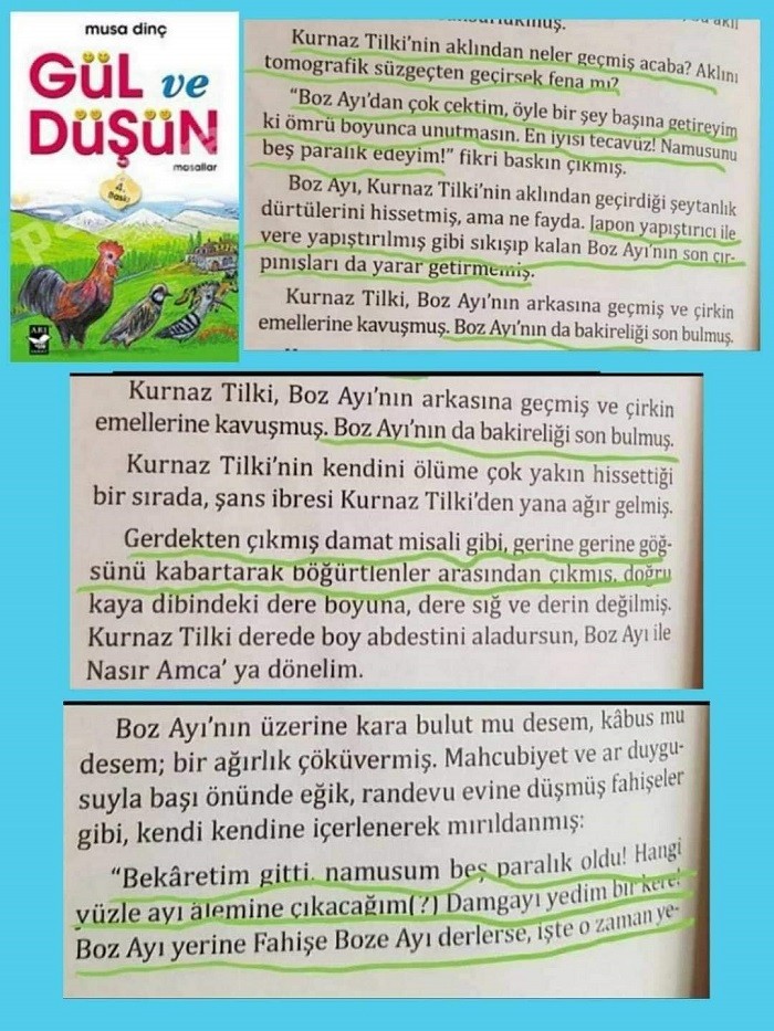 Çocuk kitabında tecavüzü anlatan yazar: Nasıl bir insan olduğumu herkes biliyor - Resim : 1