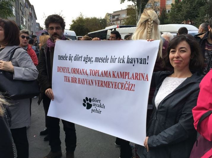 Eyüp Belediyesi sokak köpeklerine ne yapıyor? - Resim : 2