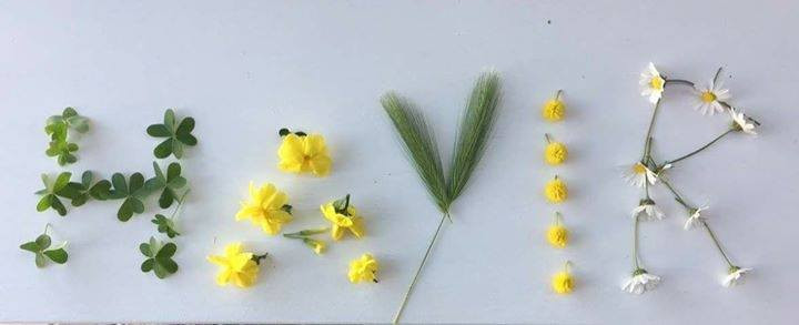 Yaratıcı Hayır'lar - Resim: 18