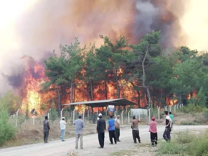 44 saat yangınla mücadele eden işçiler toprakta uyuyakaldılar - Resim : 1