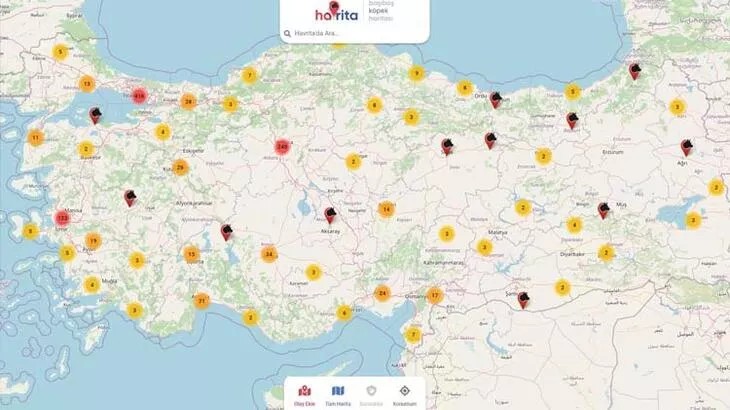 Sokak hayvanlarını hedef haline getiren Havrita'ya tepki büyüyor - Resim : 1