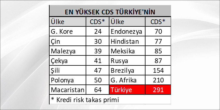 Ekonominin uluslararası performans karnesi: Çift dikişli çakma - Resim : 9