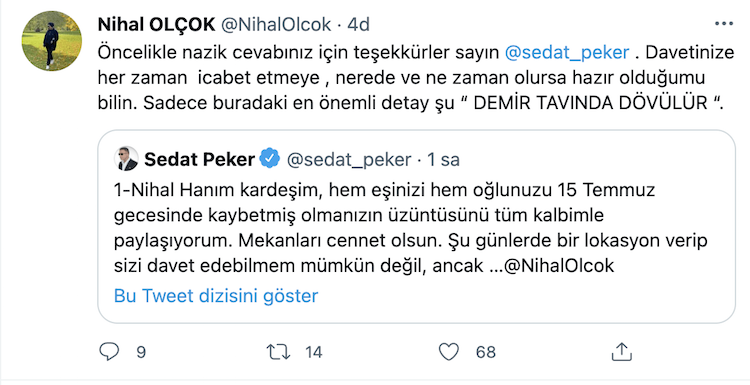 Nihal Olçok'tan Peker'e: Demir tavında dövülür - Resim : 2