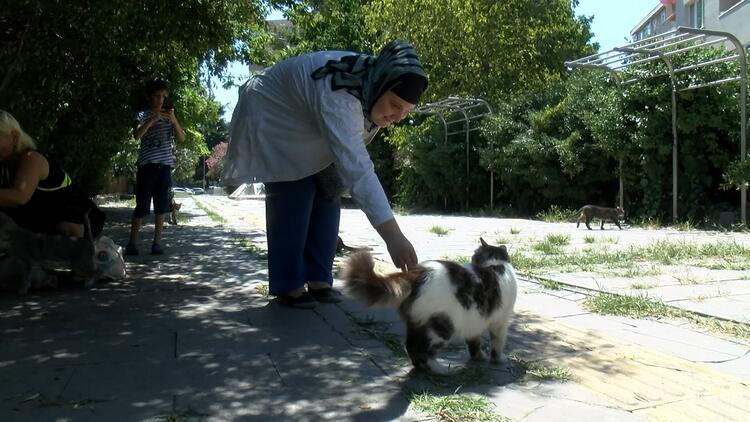 Sokakta kedi besledikleri için darp edildiler - Resim : 2