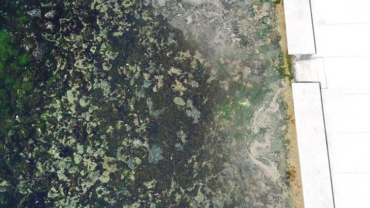 Geri mi dönüyor? Tuzla ve Kadıköy sahillerinde müsilaj benzeri kirlilik görüldü - Resim : 4