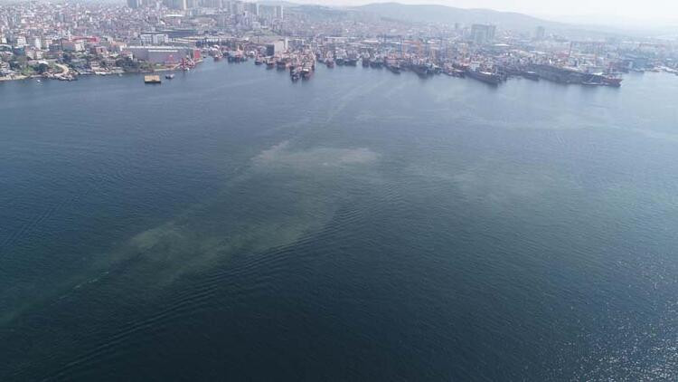 Geri mi dönüyor? Tuzla ve Kadıköy sahillerinde müsilaj benzeri kirlilik görüldü - Resim : 3
