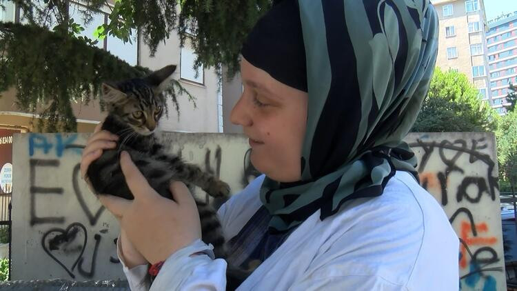 Sokakta kedi besledikleri için darp edildiler - Resim : 3