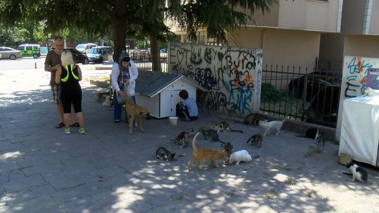 Sokakta kedi besledikleri için darp edildiler - Resim : 1