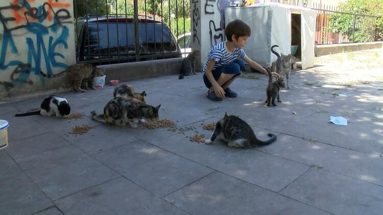 Sokakta kedi besledikleri için darp edildiler - Resim : 4