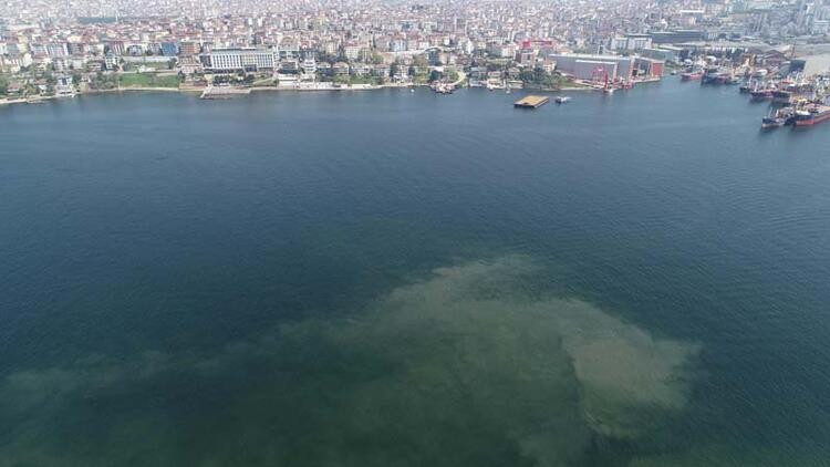 Geri mi dönüyor? Tuzla ve Kadıköy sahillerinde müsilaj benzeri kirlilik görüldü - Resim : 2